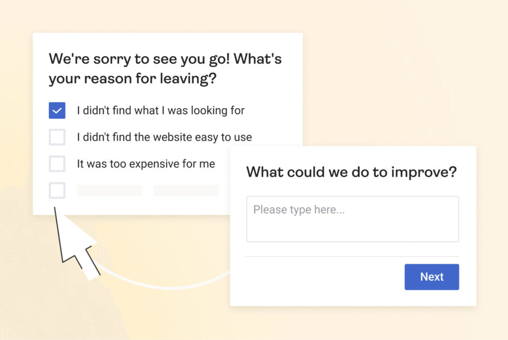 Screenshot of Exit Intent Survey