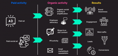 flowchart showing paid activity into organic activity and then into seeing results
