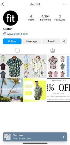 Alsofitit's instagram page with 6 photos and circa 4000 followers