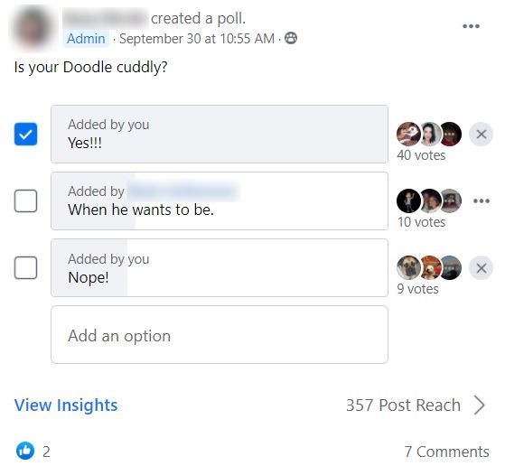 facebook poll