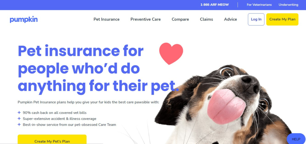 Pumpkin pet insurance