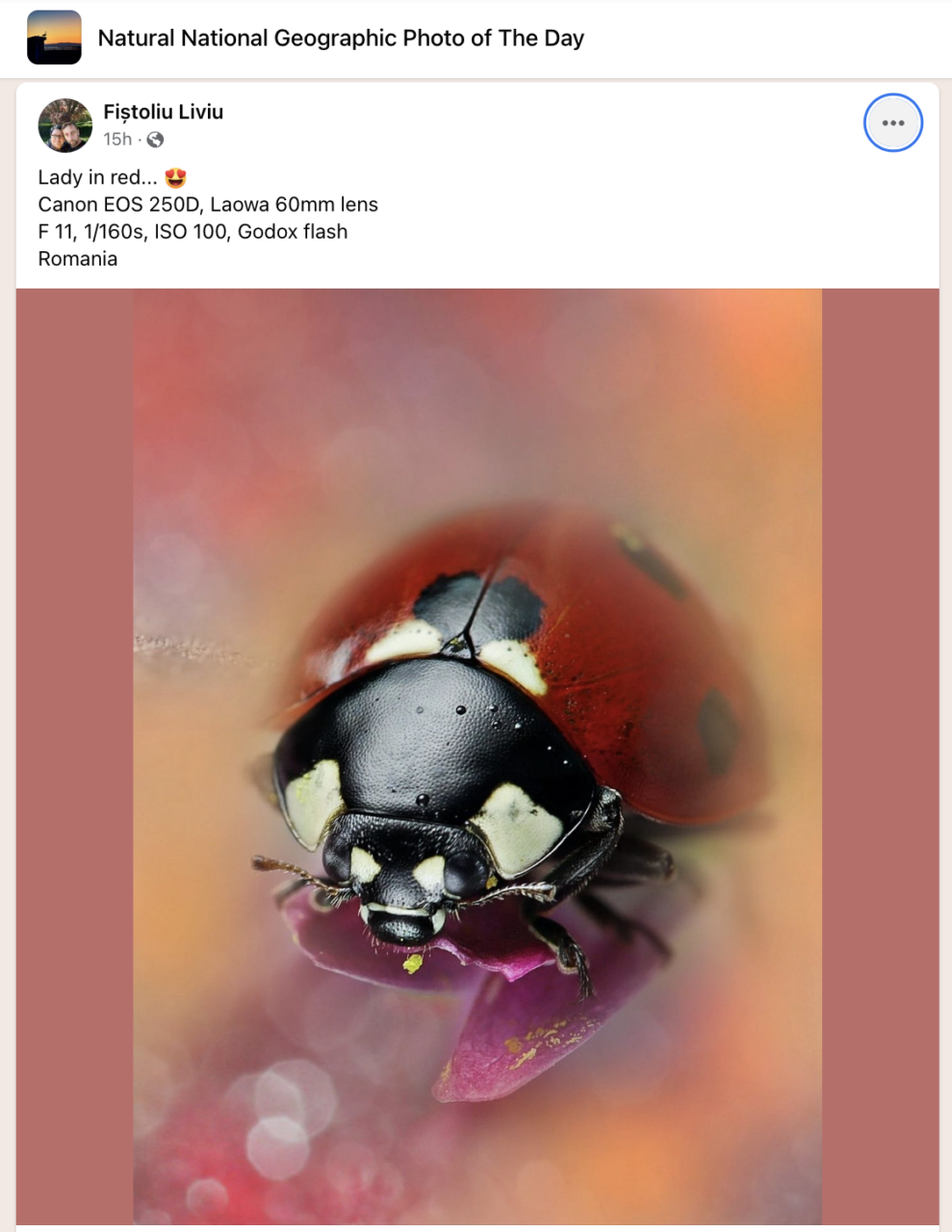 National Geographic FB Group photo of the day