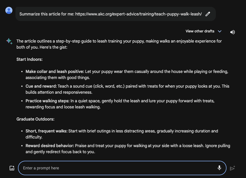 Google Bard generating a summary of an article about training a dog to walk on a leash
