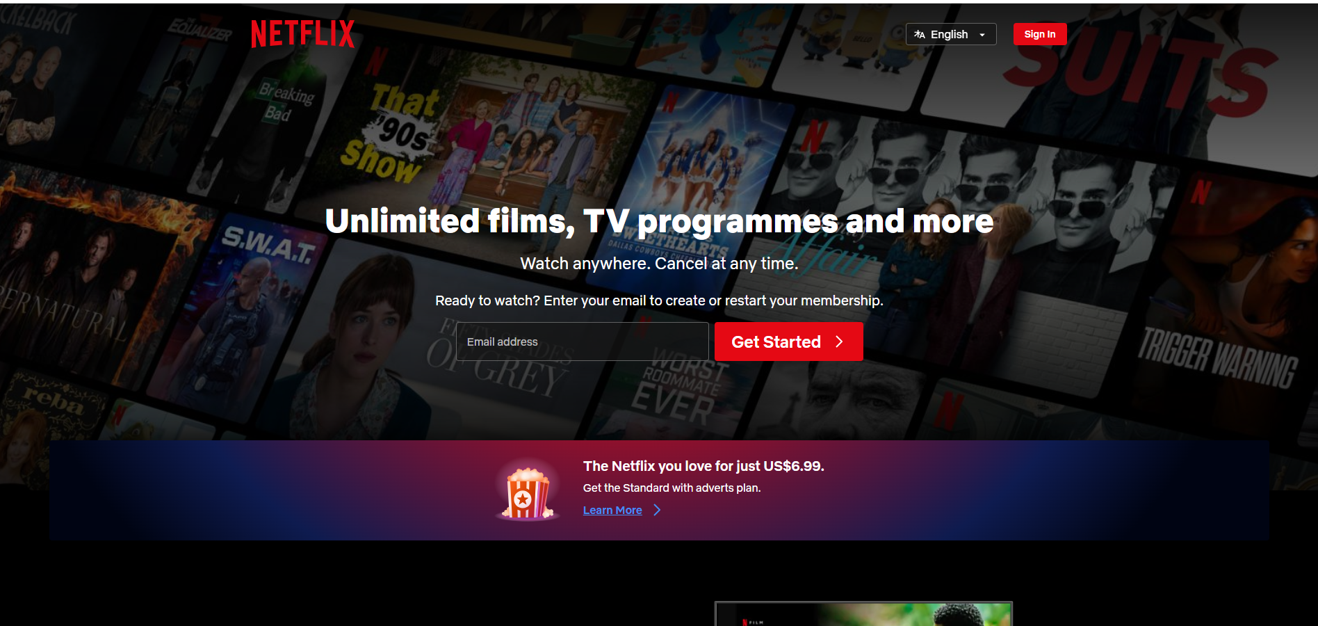 Netflix homepage example