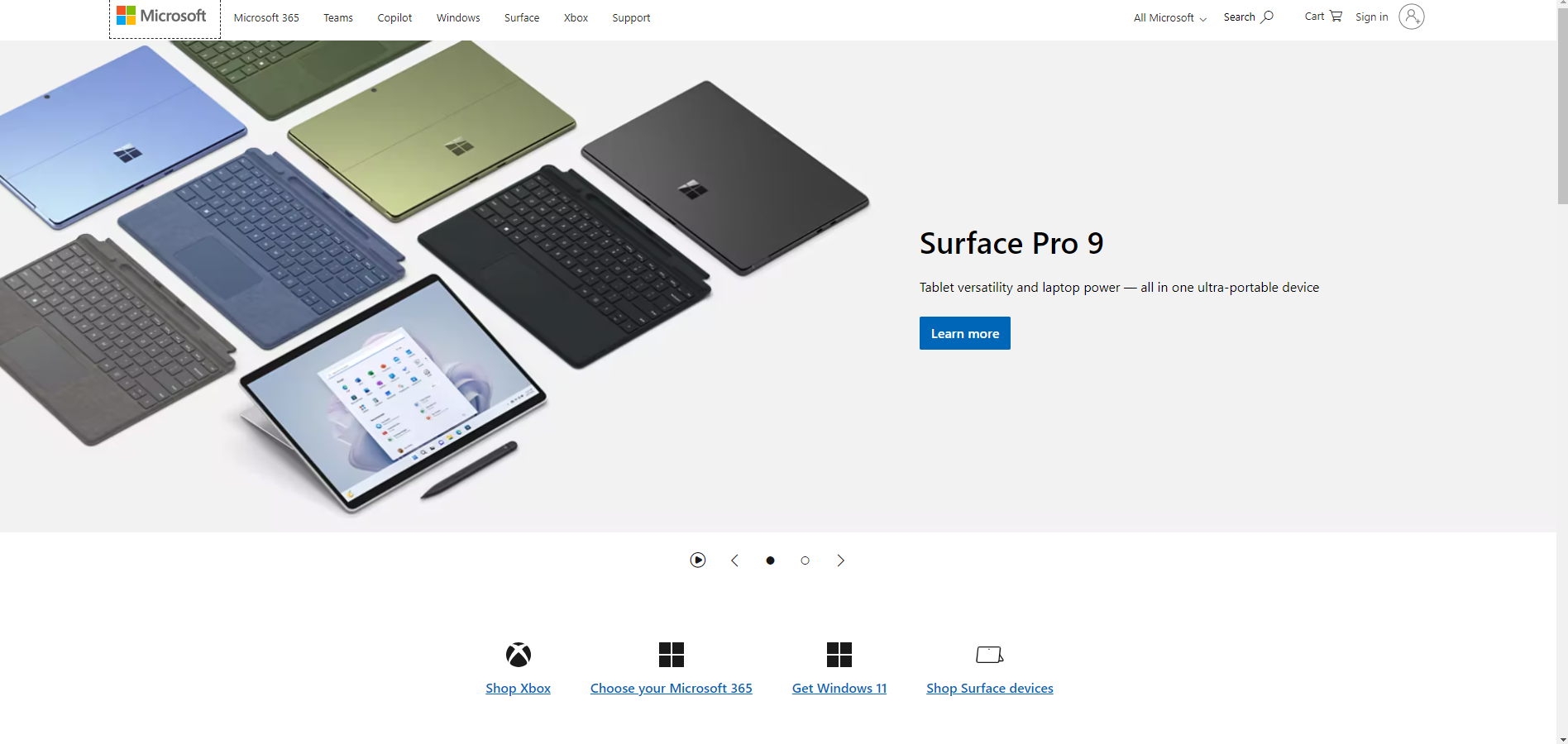 Microsoft homepage example