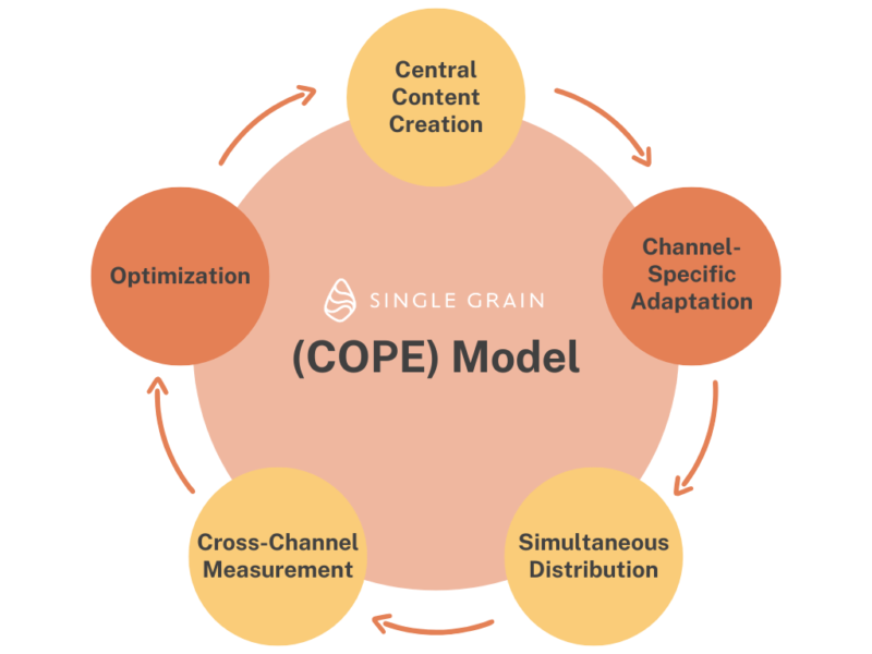COPE model diagram